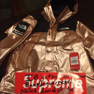 Supreme X The North Face Parka Rose Gold metallic